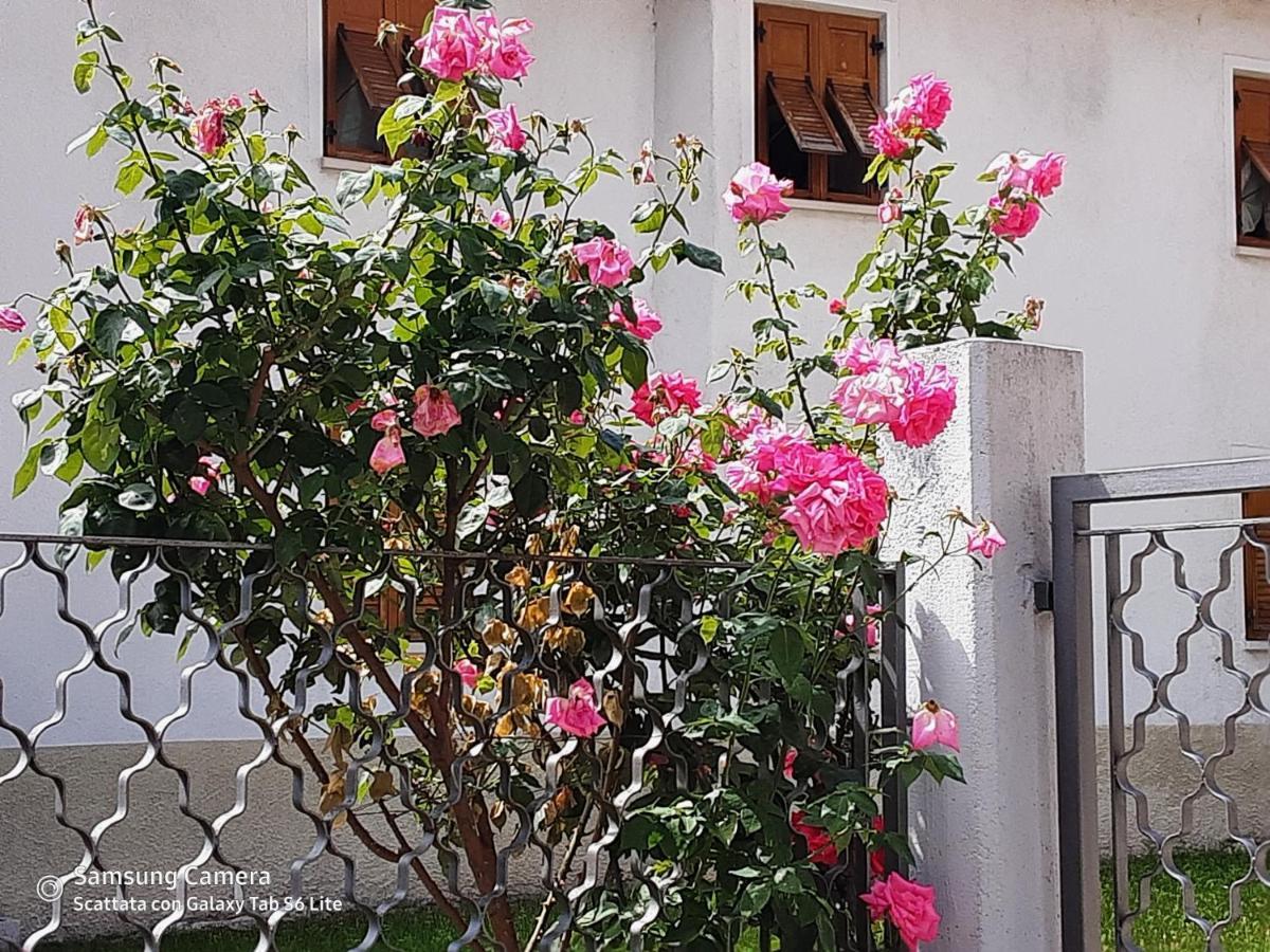 Rovere della Luna B&B Anna מראה חיצוני תמונה
