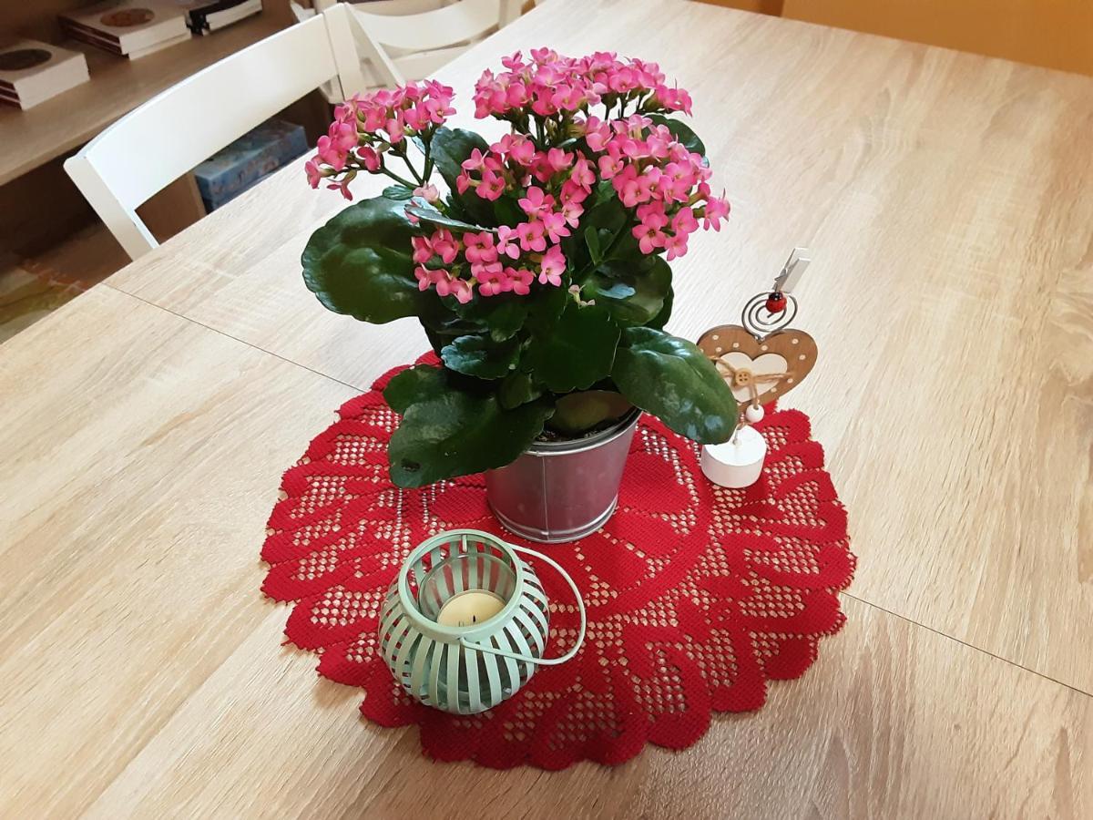 Rovere della Luna B&B Anna מראה חיצוני תמונה